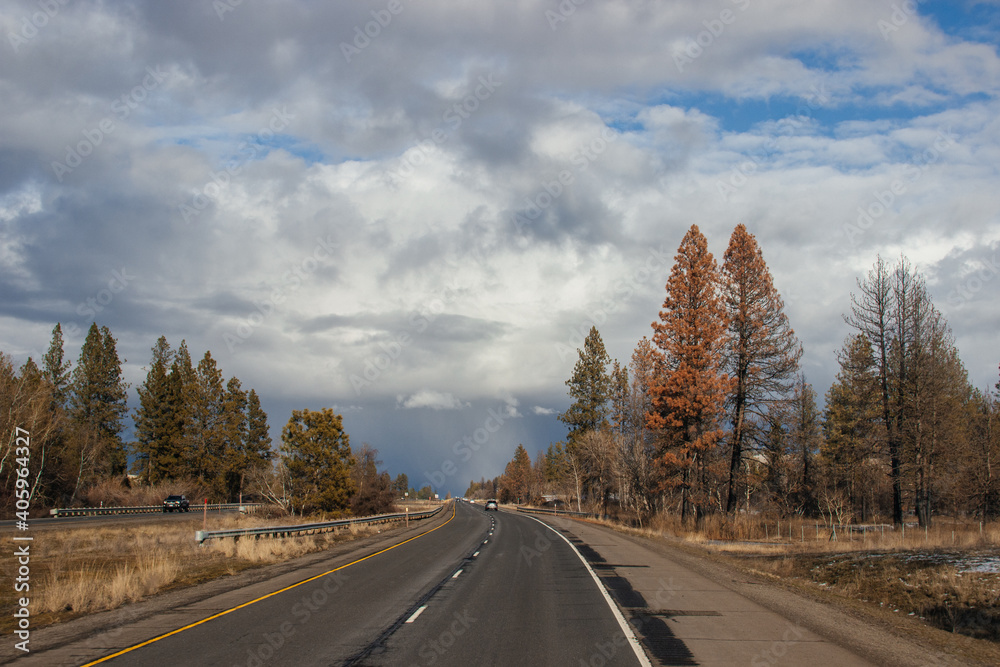 Beautiful road landscape on a sunny autumn day. A highway among tall fir trees, ahead of a beautiful cloudy gray-blue sky before the rain. Beautiful road landscape on a sunny autumn day. A highway among tall fir trees, ahead of a beautiful cloudy gray-blue sky before the rain.