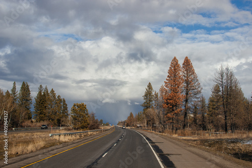 Beautiful road landscape on a sunny autumn day. A highway among tall fir trees, ahead of a beautiful cloudy gray-blue sky before the rain.
