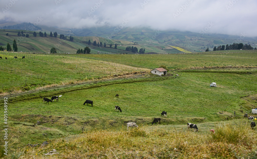 The fertile Andean highlands under Chimborazo, La Moya, Ecuador