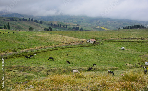 The fertile Andean highlands under Chimborazo, La Moya, Ecuador