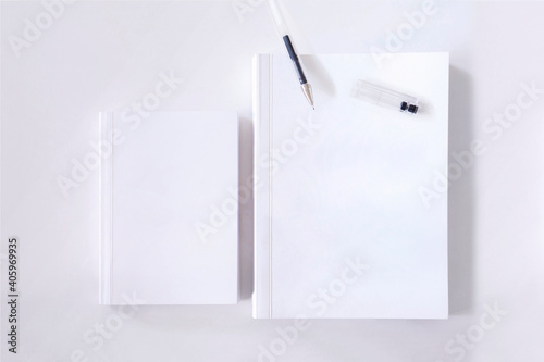 Escritorio vista desde arriba con cuadernos y bolígrafo. Espacio para texto o dibujo. © Aida Servi