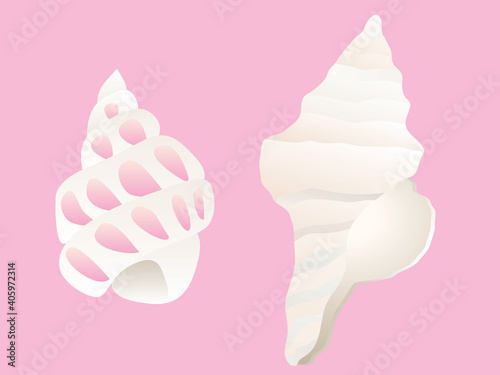 巻貝のイラスト