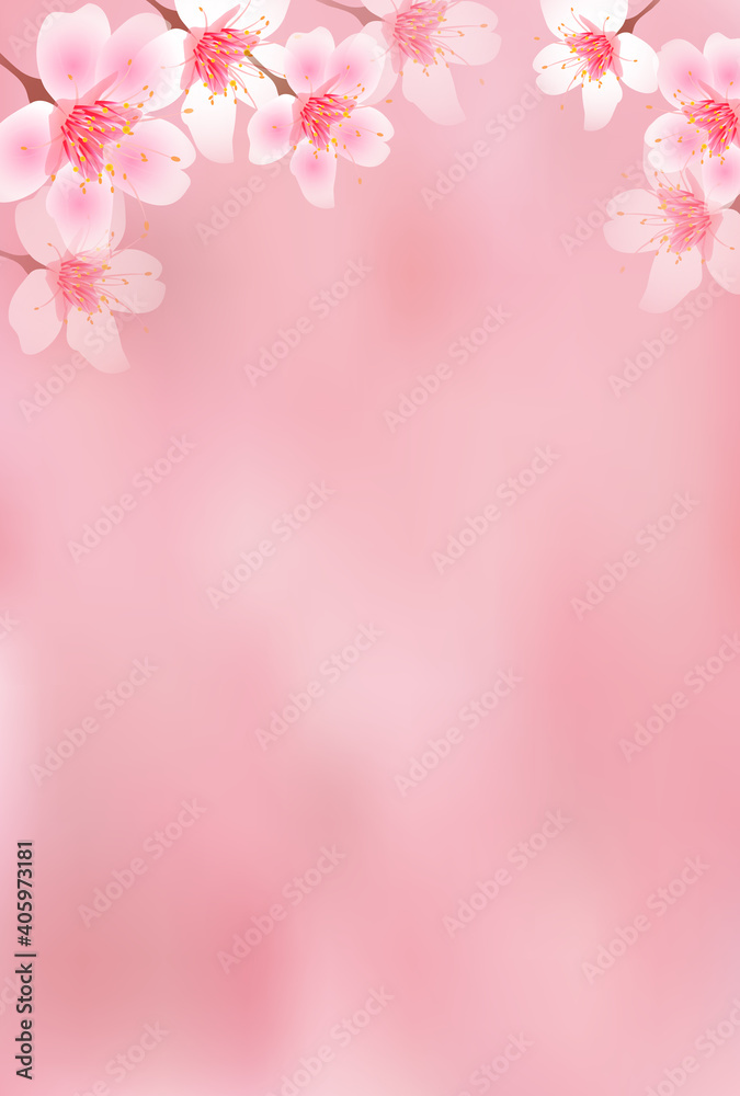 桜 花 春 背景 桜 花 春 背景