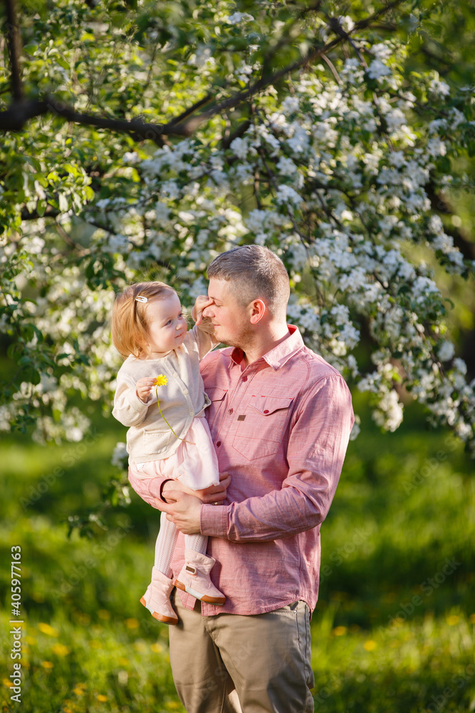 Father and little daughter in blooming apple garden. Dad loves his child. Spring story. Toddler girl in father's hands. Happy family Father and little daughter in blooming apple garden. Dad loves his child. Spring story. Toddler girl in father's hands. Happy family