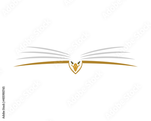 Flying eagle with open book shape logo