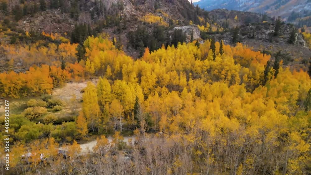 Cinematic aerial shot of colorful fall foliage at Bishop Creek in Eastern Sierra in California at 60fps Cinematic aerial shot of colorful fall foliage at Bishop Creek in Eastern Sierra in California at 60fps