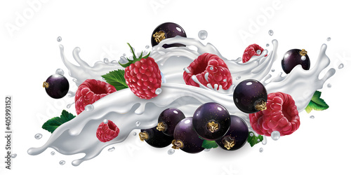 Fototapeta Naklejka Na Ścianę i Meble -  Black currants and raspberries in a yogurt or milk splash.
