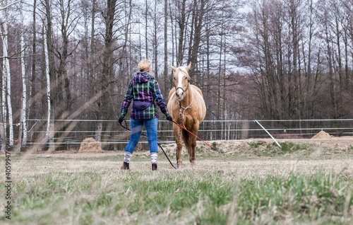 Horse and girl exercise - rope - carrot stick 