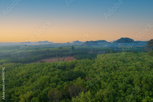 Aerial top view forest tree,Green forest That are abundant Making the ecosystems in this region perfect. © AlexPhototest