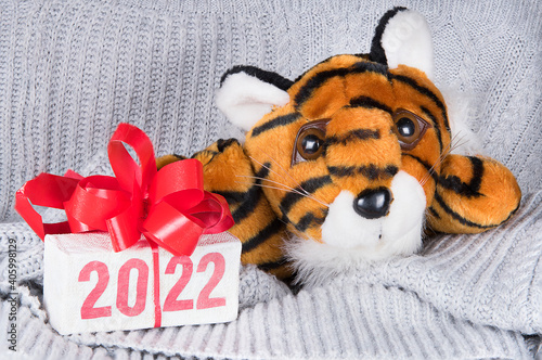 Tiger symbol of 2022 year and gift box with text 2022 on grey knitted background.