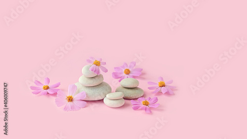 Spa stones and pink flowers on pink background. spa, relax concept. minimal floral composition