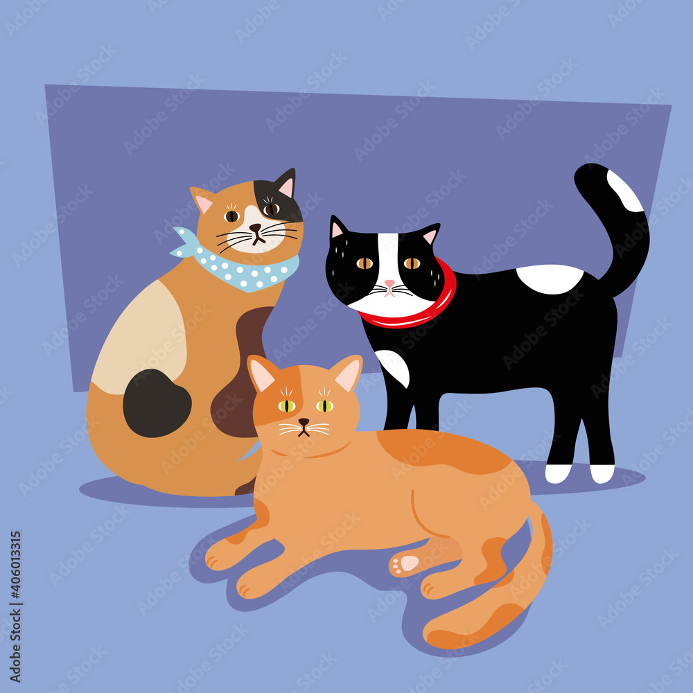 bundle of three cats differents colors mascots vector illustration design