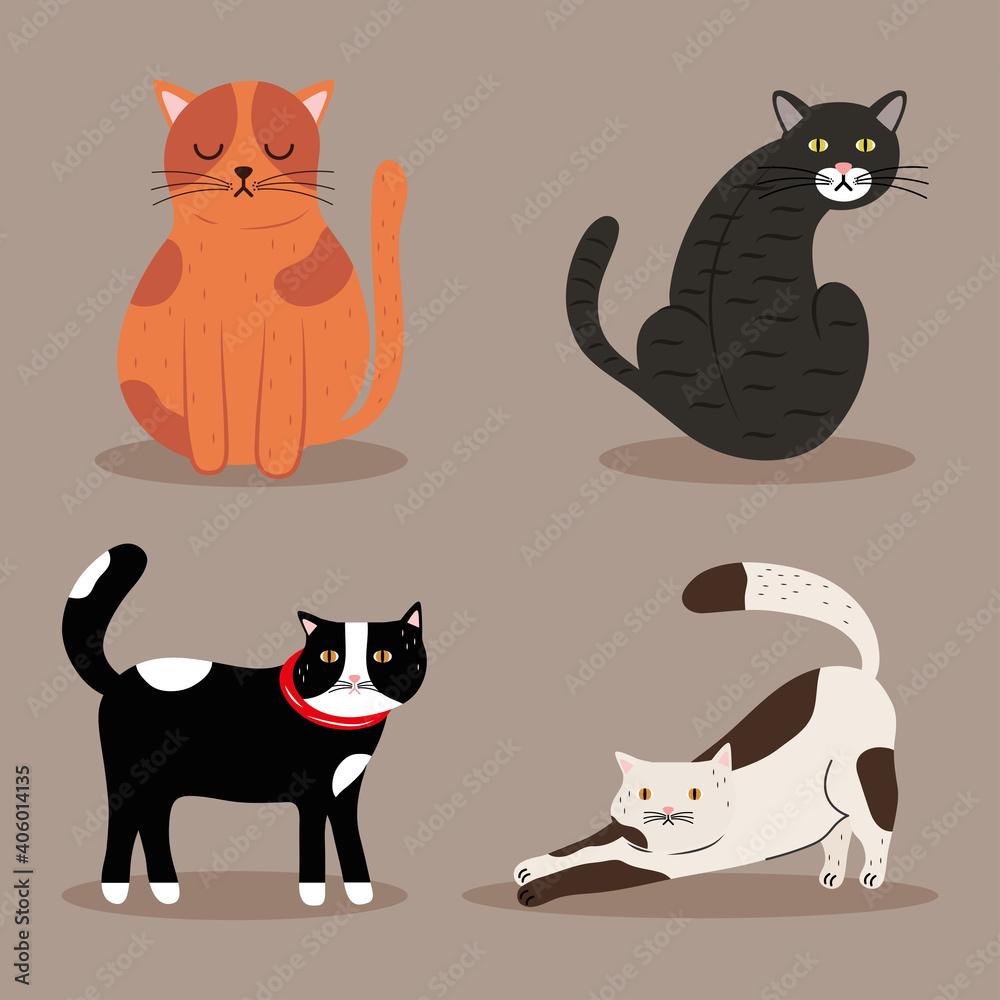 bundle of four cats differents colors mascots characters vector illustration design