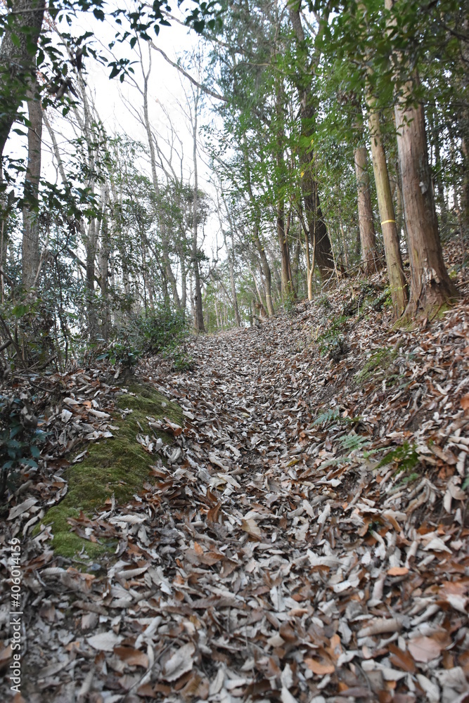 山道 山道