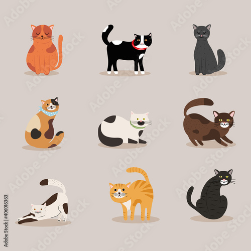 Fototapeta Naklejka Na Ścianę i Meble -  bundle of nine cats differents colors mascots characters vector illustration design