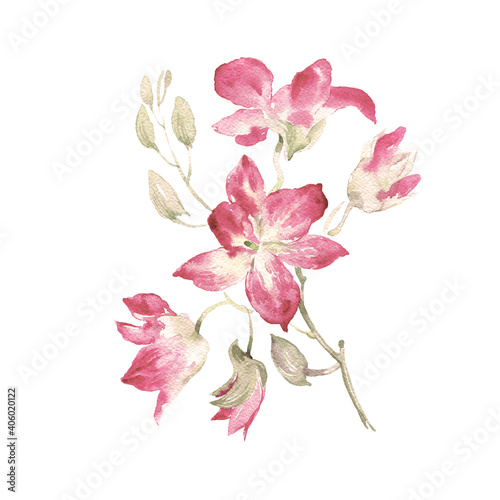  Abstract beautiful illustration of a branch of a blooming orchid painted with paints on paper
