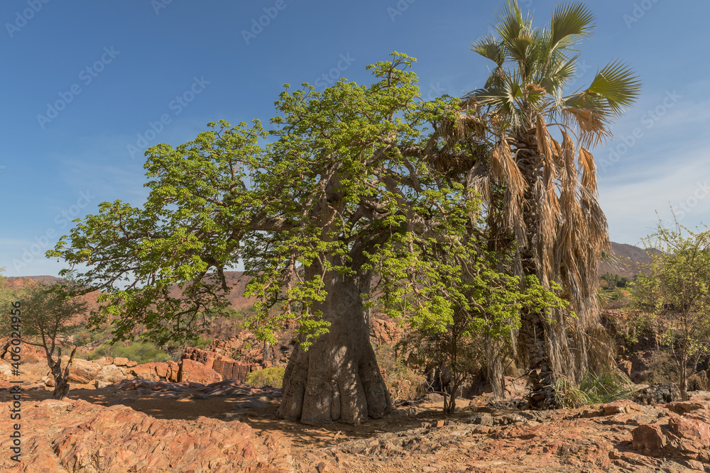 Landscape on the banks of the Kunene River, the border river between Namibia and Angola