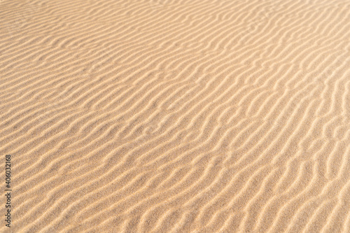 Sand texture waves close up. Wavy background pattern of sandy beach. 