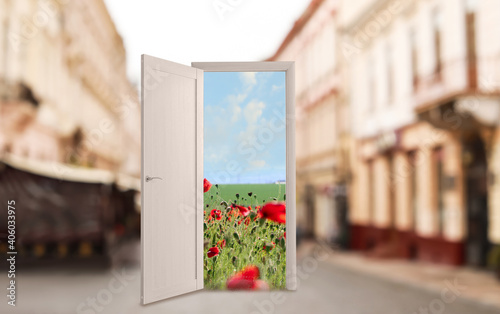 View on beautiful poppy flo...