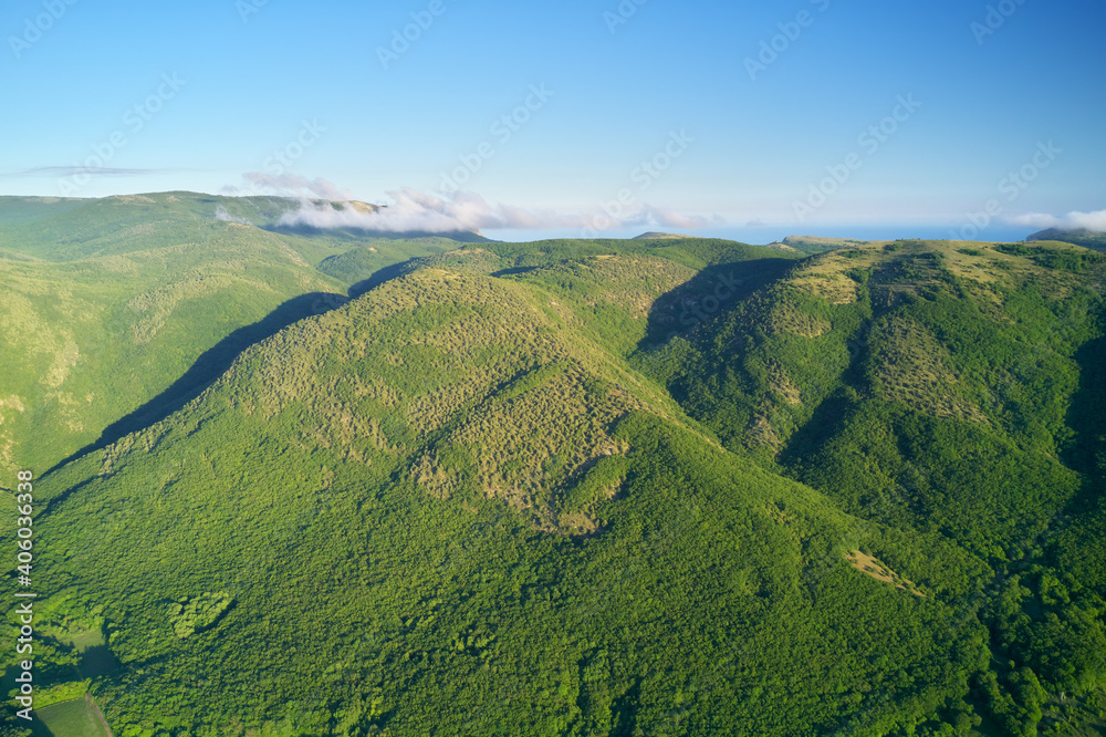 Aerial mountain forest