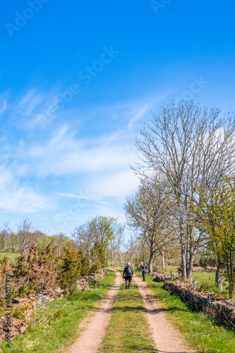 Hiker on a dirt road in a beautiful spring landscape