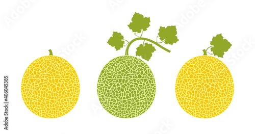 Melon logo. Isolated melon on white background