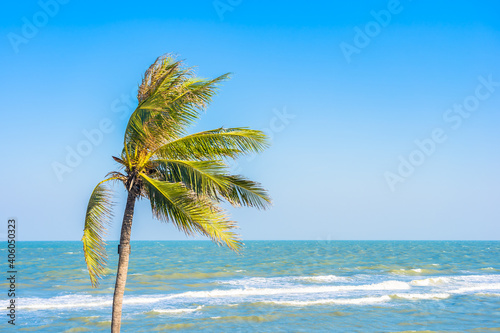 Beautiful tropical beach sea ocean with palm tree