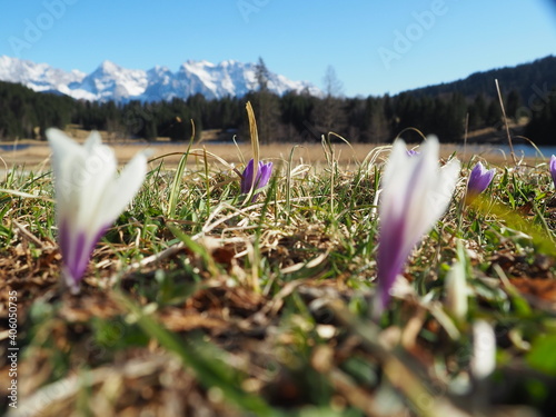 Geroldsee schönheit des Werdenfelser Lands Bayern photo