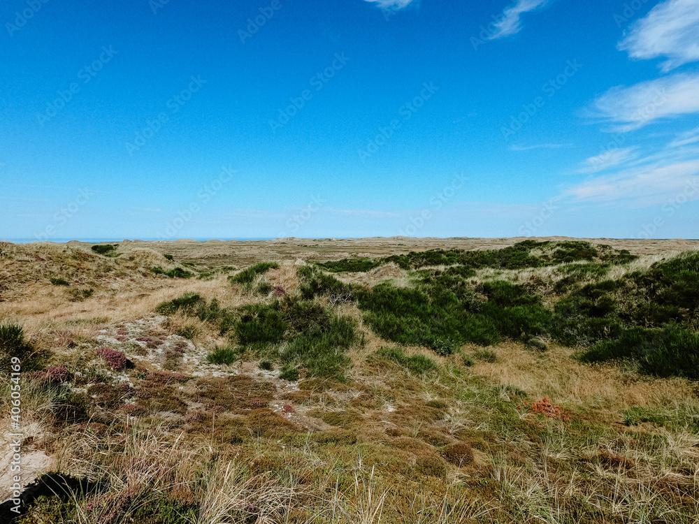 View over a wide dune landscape at the north sea, sunny day, blue sky