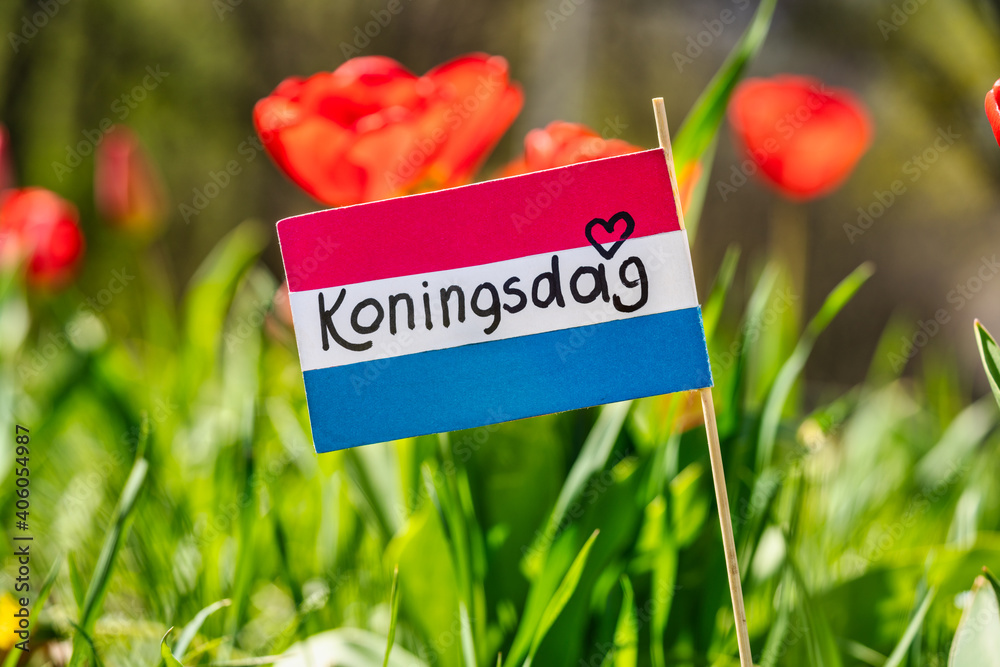Koningsdag or King's Day is a national holiday in the Kingdom of the Netherlands. Paper cut crown with an inscription koningsdag against the background of tulips.