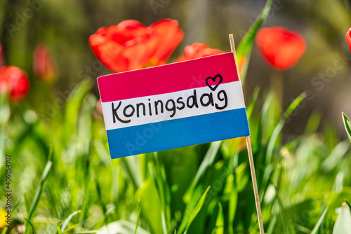 Koningsdag or King's Day is a national holiday in the Kingdom of the Netherlands. Paper cut crown with an inscription koningsdag against the background of tulips.