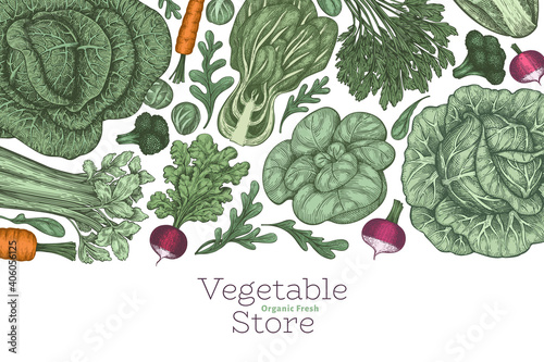 Hand drawn vintage color vegetables design. Organic fresh food vector banner template. Retro vegetable background. Traditional botanical illustrations.