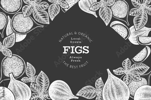 Hand drawn fig fruits design template. Organic fresh food vector illustration on chalk board. Retro fig fruit banner.