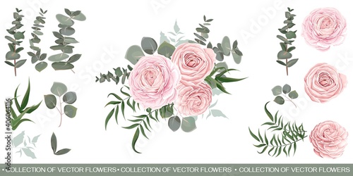 Fotografie, Obraz Compositions of pink roses, green plants and leaves, eucalyptus
