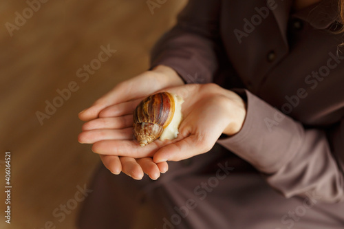 Giant African snail on a human hand