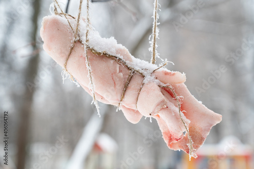 Winter feeding of birds in the park. A piece of bacon is tied with a cord to a tree branch. Bird care.