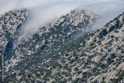 fog over Sierra de Cuber, Fornalutx, Mallorca, Balearic Islands, Spain © Tolo