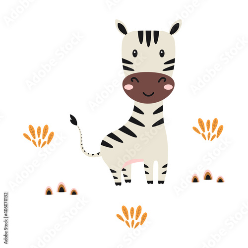 cartoon zebra on white background, cute animals