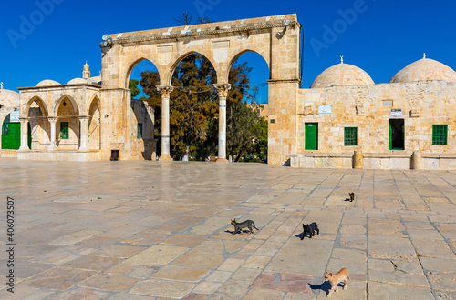 Cats at Temple Mount with gateway arches leading to Dome of the Rock Islamic monument shrine in Jerusalem Old City, Israel photo