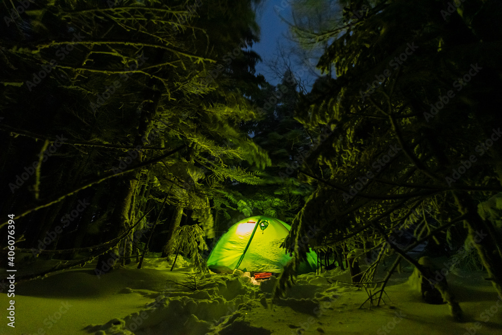 Snow forest camp