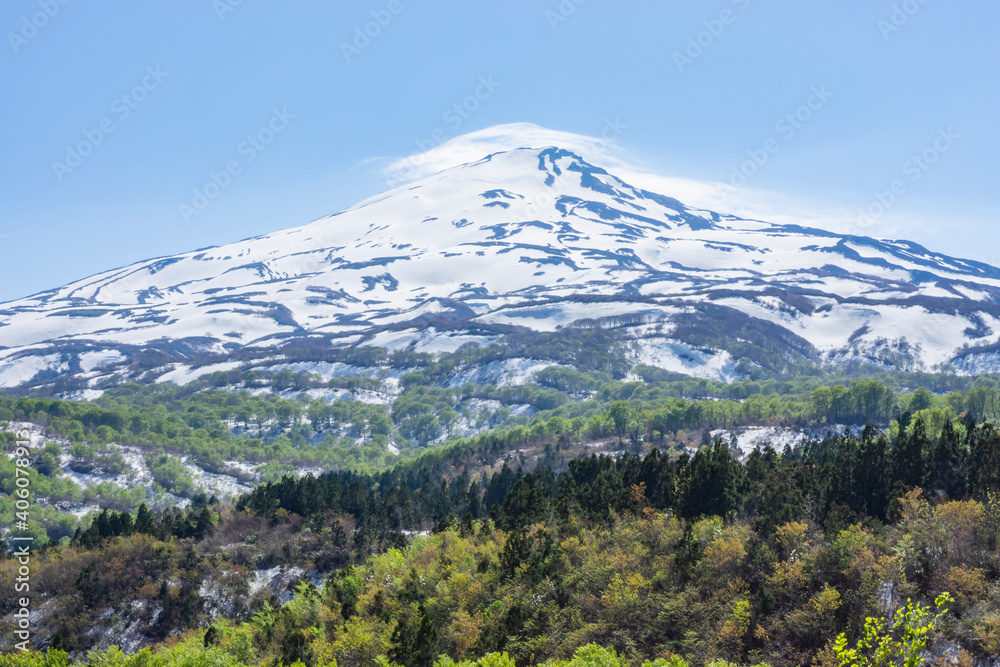 新緑と残雪の鳥海山 新緑と残雪の鳥海山