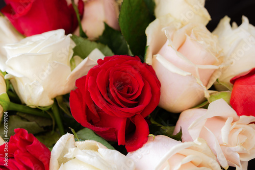 Background of red and white roses in full frame. Top view of a large beautiful bouquet of different roses.Concept of Valentine's day, wedding, birthday.Natural bright background.Soft focus, copy space