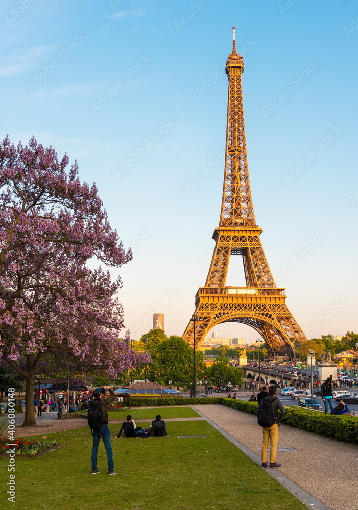 Fototapeta premium Eiffel Tower with Magnolia flowers in Paris.