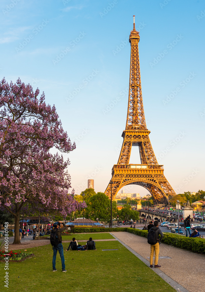 Eiffel Tower with Magnolia flowers in Paris.