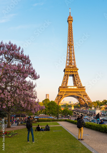 Eiffel Tower with Magnolia flowers in Paris. © resul