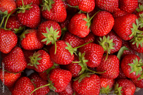 Strawberries in the glass bowl. Freshly picked strawberry. Organic sweet berries. Village garden harvest.