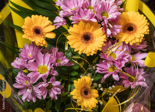 Beautiful bouquet of yellow gerberas in lilac chrysanthemums in warm colors