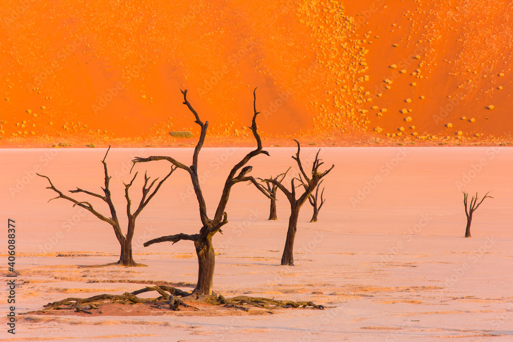 Deadvlei, Sossus Vlei, Desierto Namib, Namibia, Africa Deadvlei, Sossus Vlei, Desierto Namib, Namibia, Africa