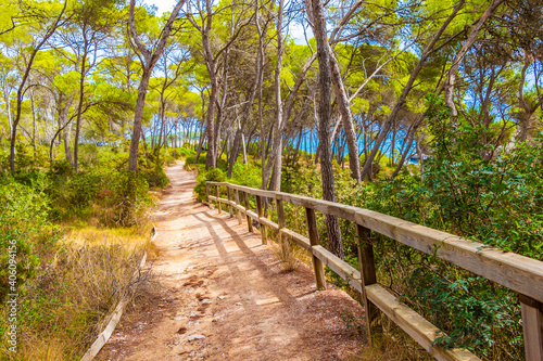Natural walking path in the forest of Parc natural de Mondragó Cala Mondrago Samarador Mallorca. photo