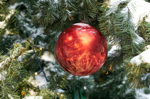 Red ball on christmas tree in winter
